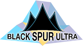 blackspur logo 2017